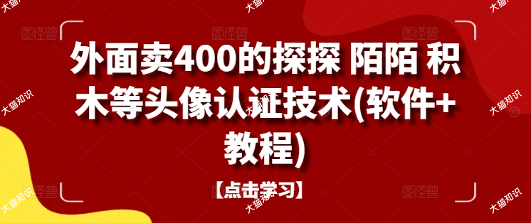 外面卖400的探探 陌陌 积木等头像认证技术(软件+教程)-大猫网创